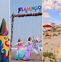 Flamingo Hải Tiến 2023 Giá Vé