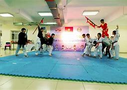 Võ Nhạc Taekwondo Việt Nam