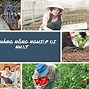 Xuất Khẩu Lao Đông Nhật Bản Ngành Nông Nghiệp